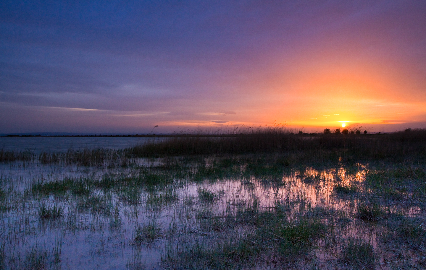 Lacke bei Nacht ©NP Neusiedler See/R. Kogler