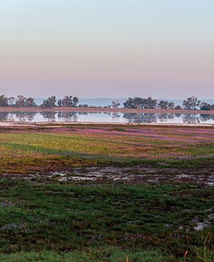 Herbst im Nationalpark Program Overview ©NP Neusiedler See/H. Assil