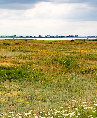 Lange Lacke Program Overview ©NP Neusiedler See/H. Assil