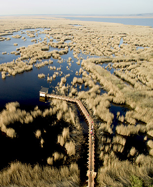 Wildnis voller Leben Program Overview ©NP Neusiedler See