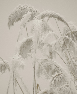 Winter im Nationalpark Program Overview ©NP Neusiedler See/C. Haschek