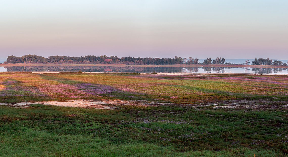 Herbst im Nationalpark Header ©NP Neusiedler See/H. Assil