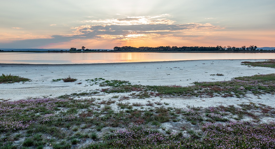 Salzlacken Header ©NP Neusiedler See/H. Assil