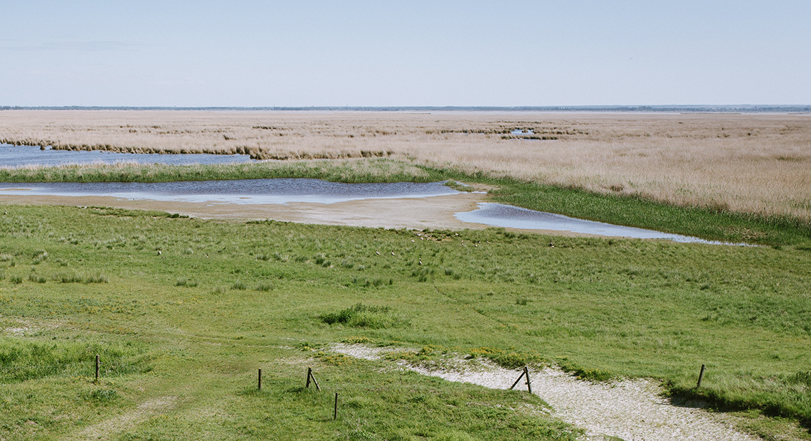 Sandeck Header ©NP Neusiedler See/S. Freiler