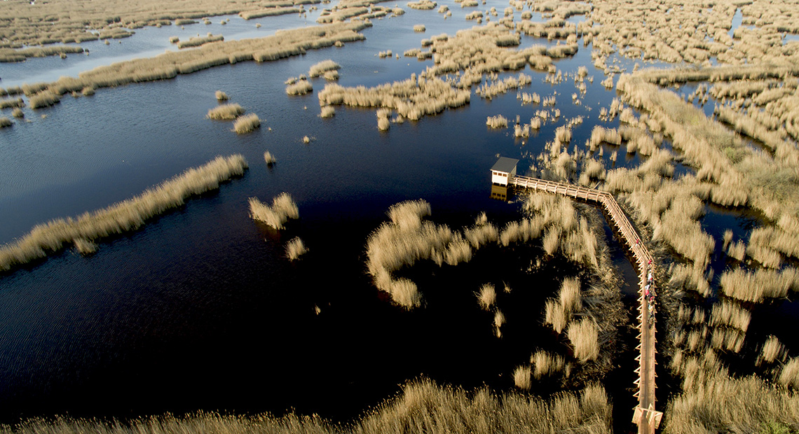 Wildnis voller Leben Header ©NP Neusiedler See