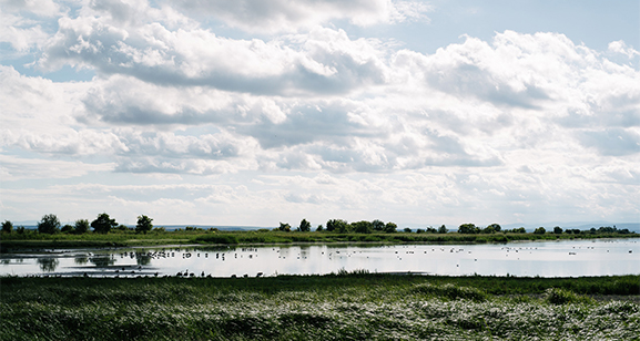 Teilgebiet Ungarn ©NP Neusiedler See/