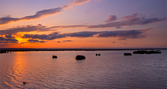 Abendstimmung am Neusiedler See ©NP Neusiedler See/R. Kogler