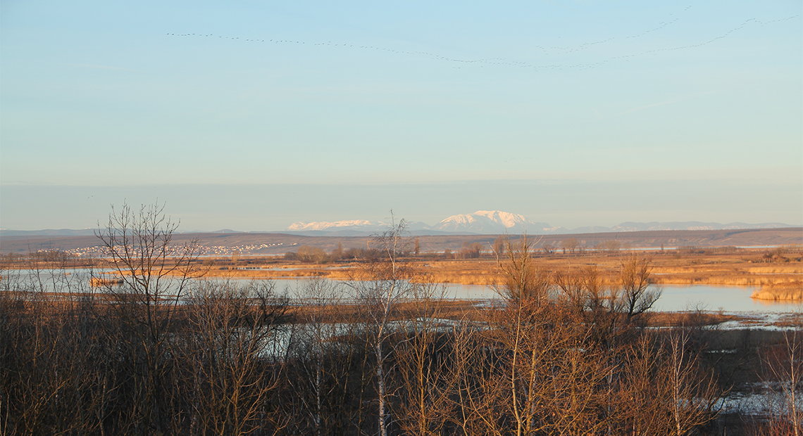 Illmitzer Zicksee Panorama mit Schneeberg ©NP Neusiedler See