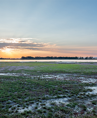 Landschaft am Oberen Stinkersee ©NP Neusiedler See/H. Assil