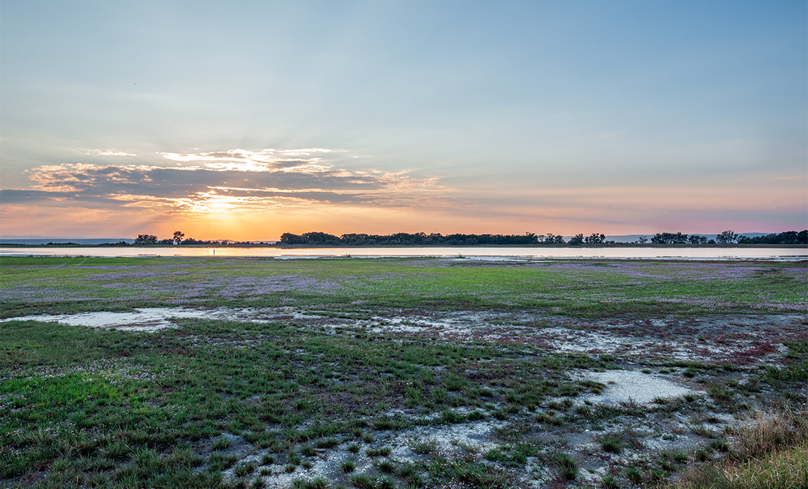 Oberer Stinkersee ©NP Neusiedler See/H. Assil