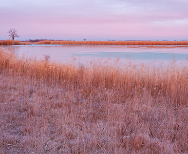 Darscho im Winter ©NP Neusiedler See/R. Kogler