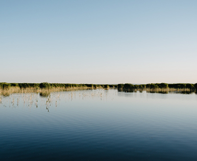 Neusiedler See ©NP Neusiedler See/S. Freiler