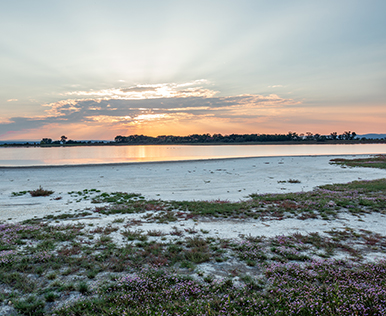 Oberer Stinkersee ©NP Neusiedler See/H. Assil