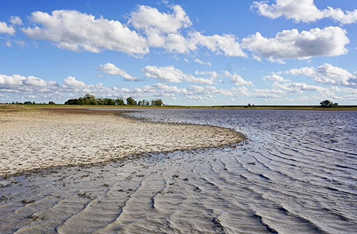 Neubruchlacke ©NP Neusiedler See/A. Cimadom