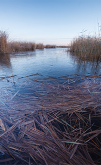 Eisfläche ©NP Neusiedler See/R. Kogler