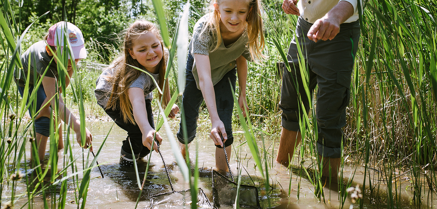 Keschern mit Kindern ©NP Neusiedler See/S. Freiler