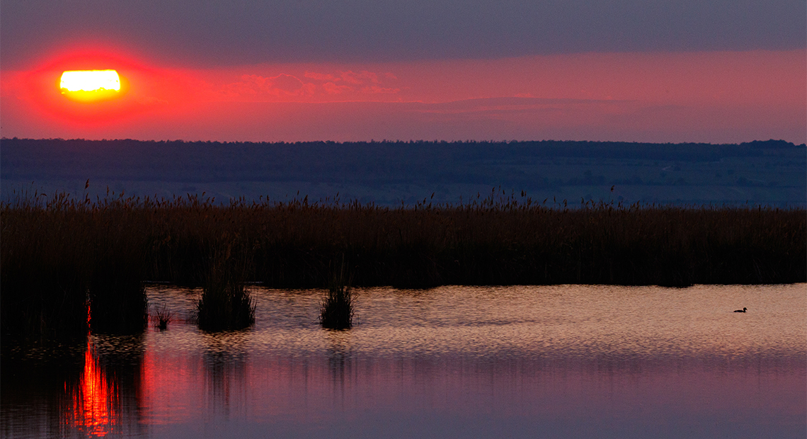 Sonnenuntergang am Neusiedler See ©NP Neusiedler See/R. Kogler