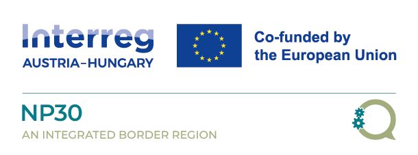 Projektlogo NP 30