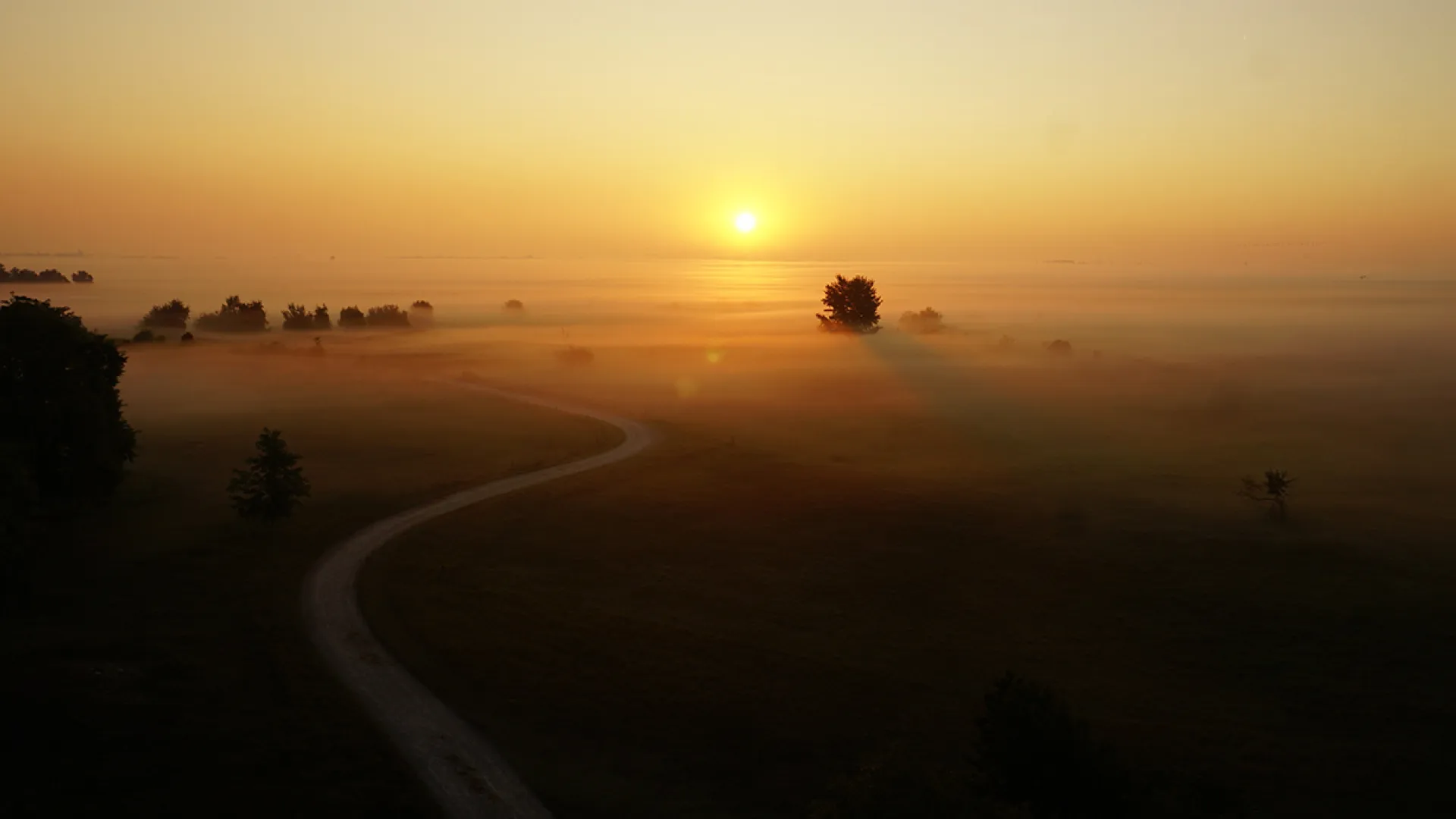 Sonnenaufgang über dem Seewinkel