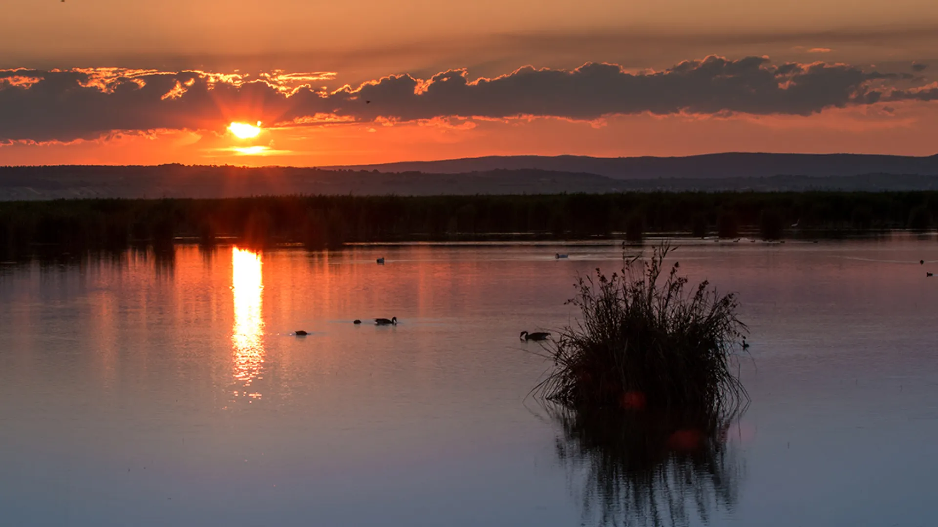 Blick von Seekoppel auf den Abendlichen See