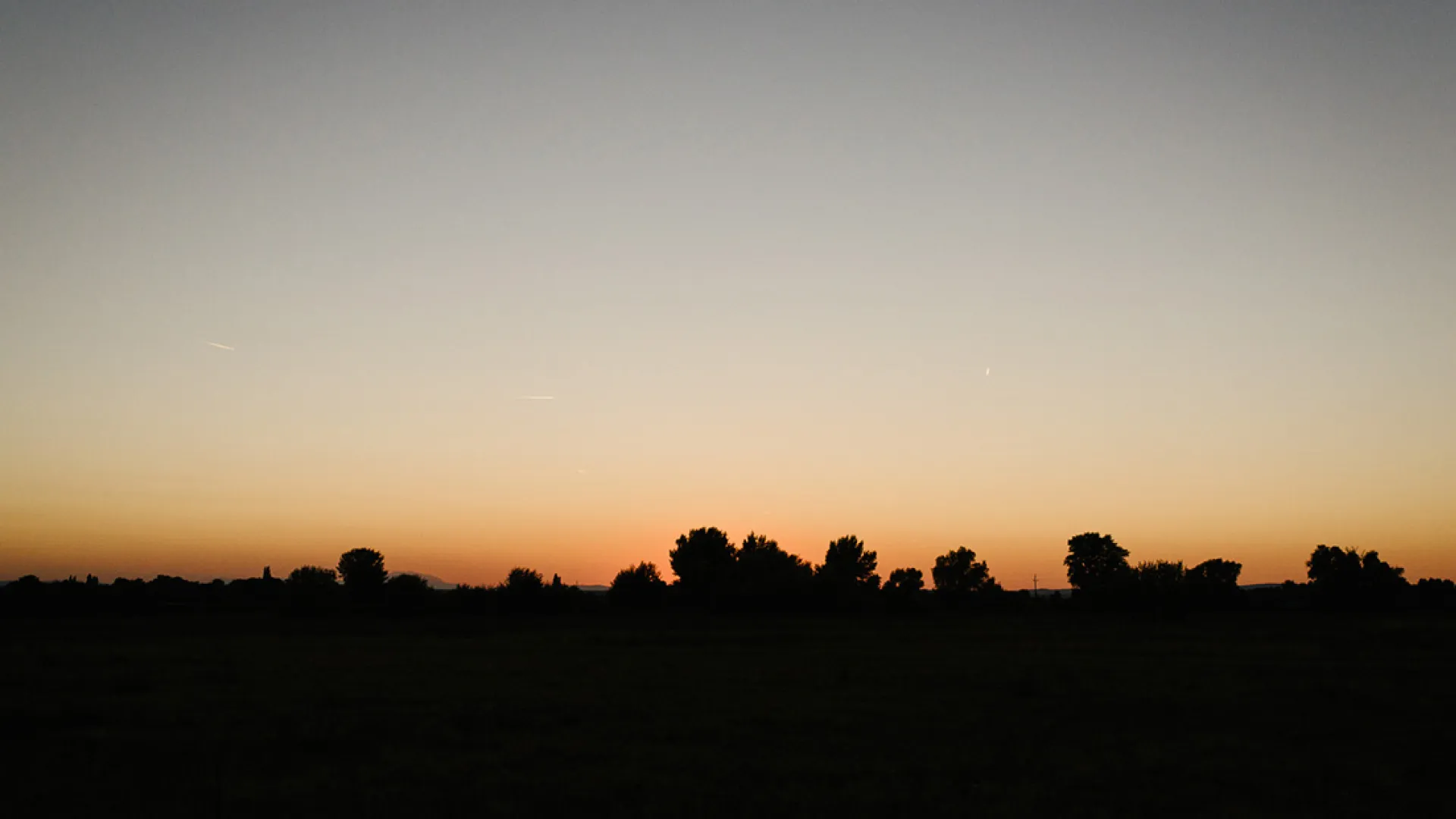Skyline der Bäume im Nationalpark