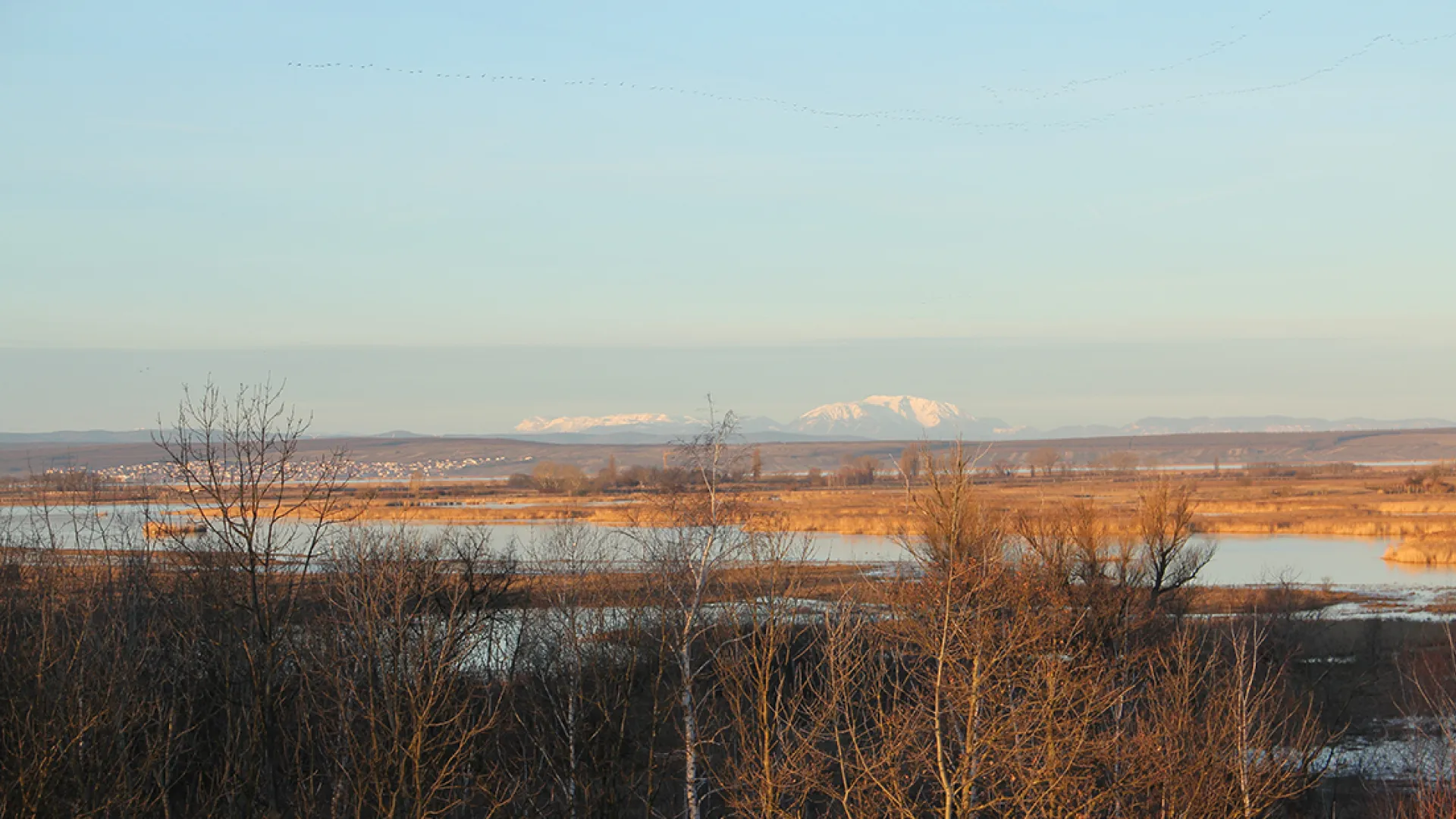 Zicksee