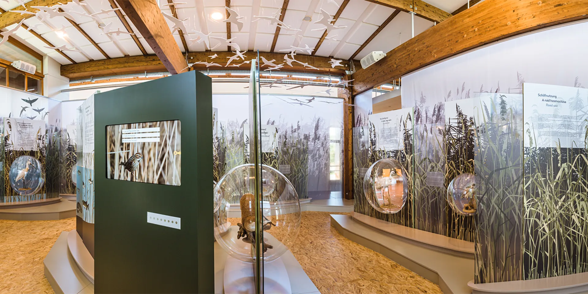 Ausstellung im Nationalparkzentrum