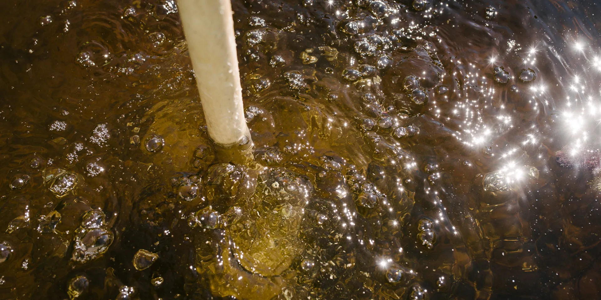 Gasblasen im Wasser