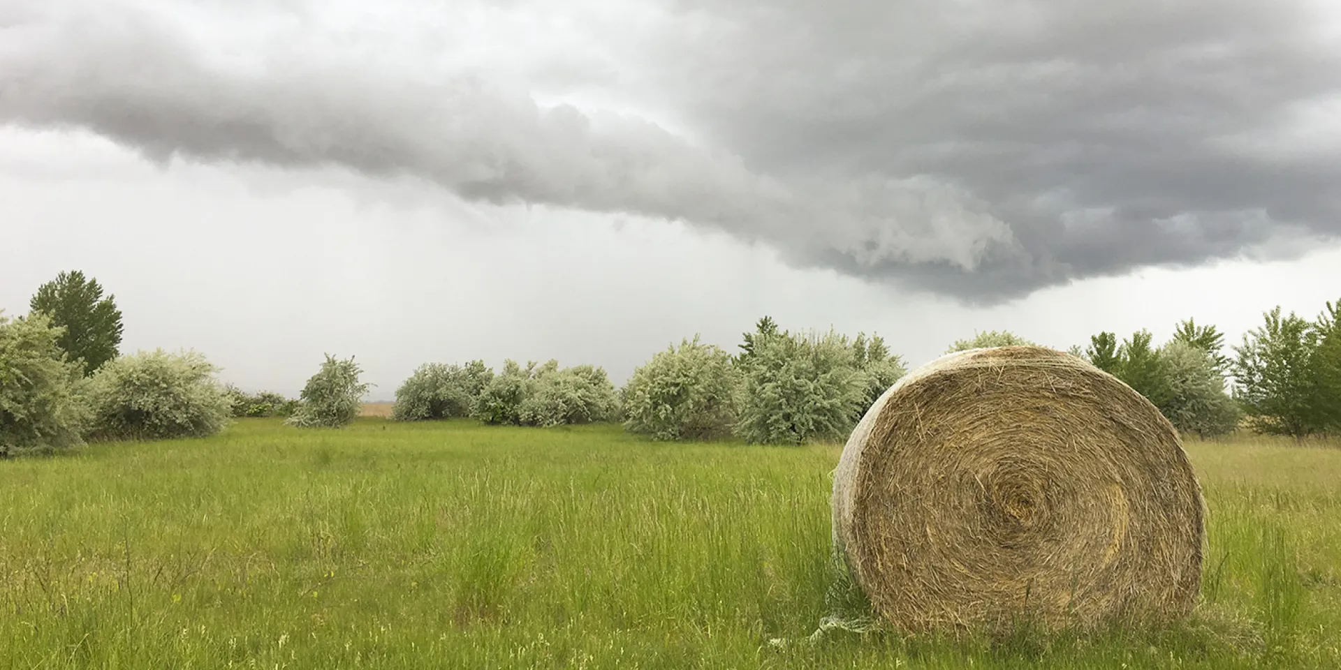 Gewitter
