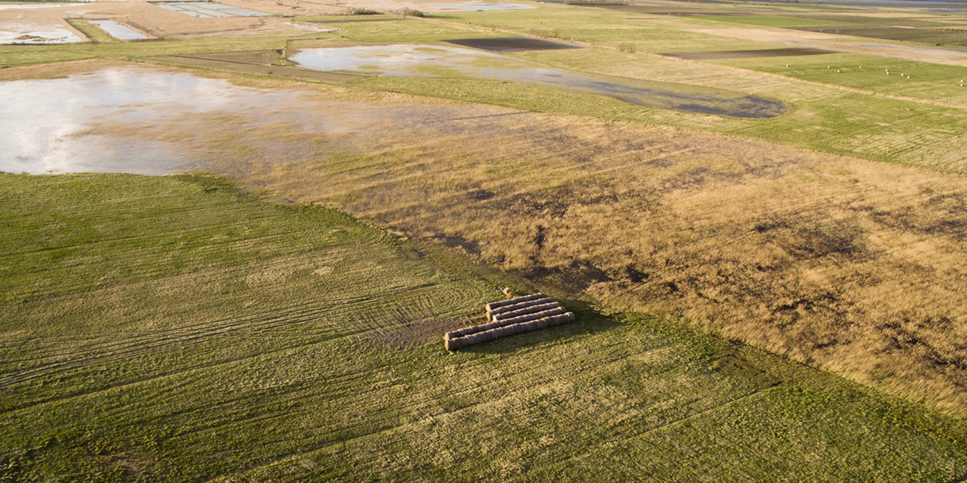 Güterweg Pamhagen nach Norden