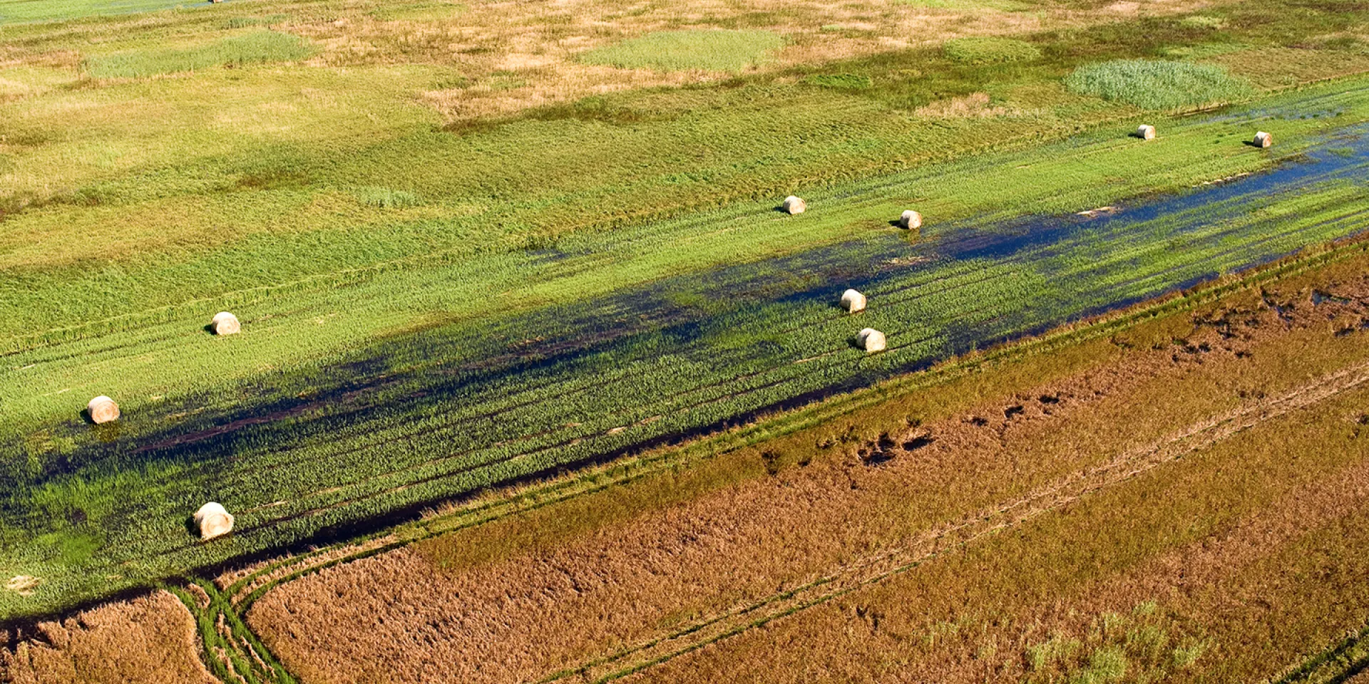 Vogelperspektive Hanság