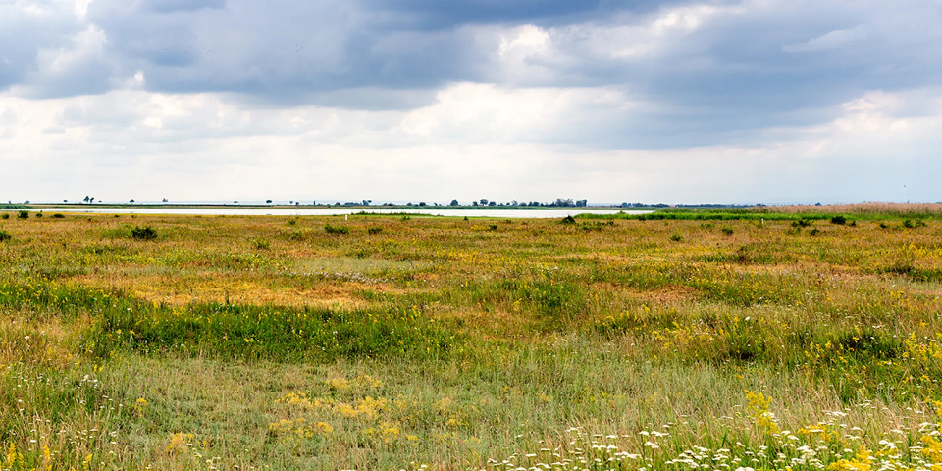 Steppe, kurze Gräser und im Hintergrund die Lange Lacke