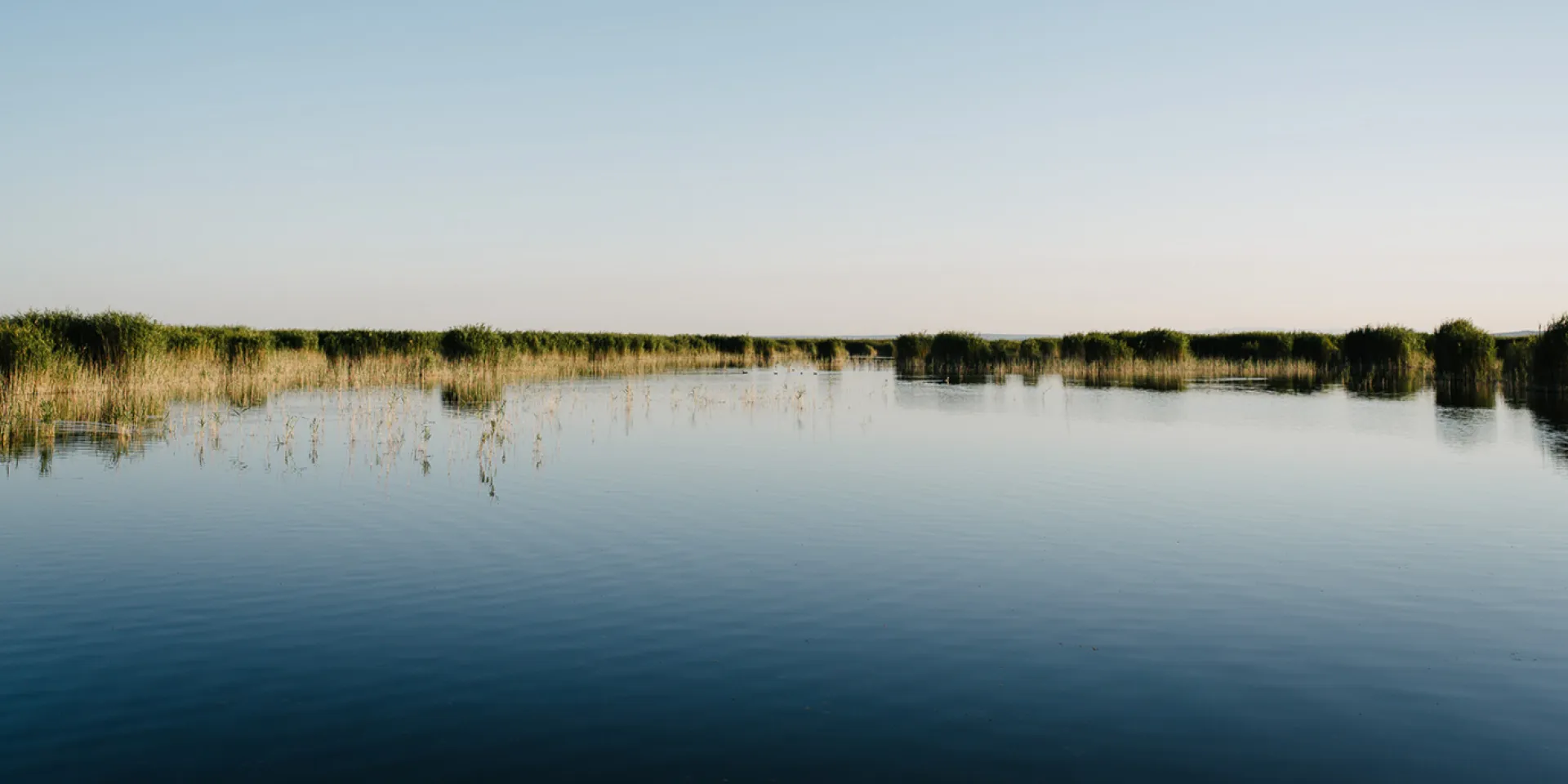 Neusiedler See