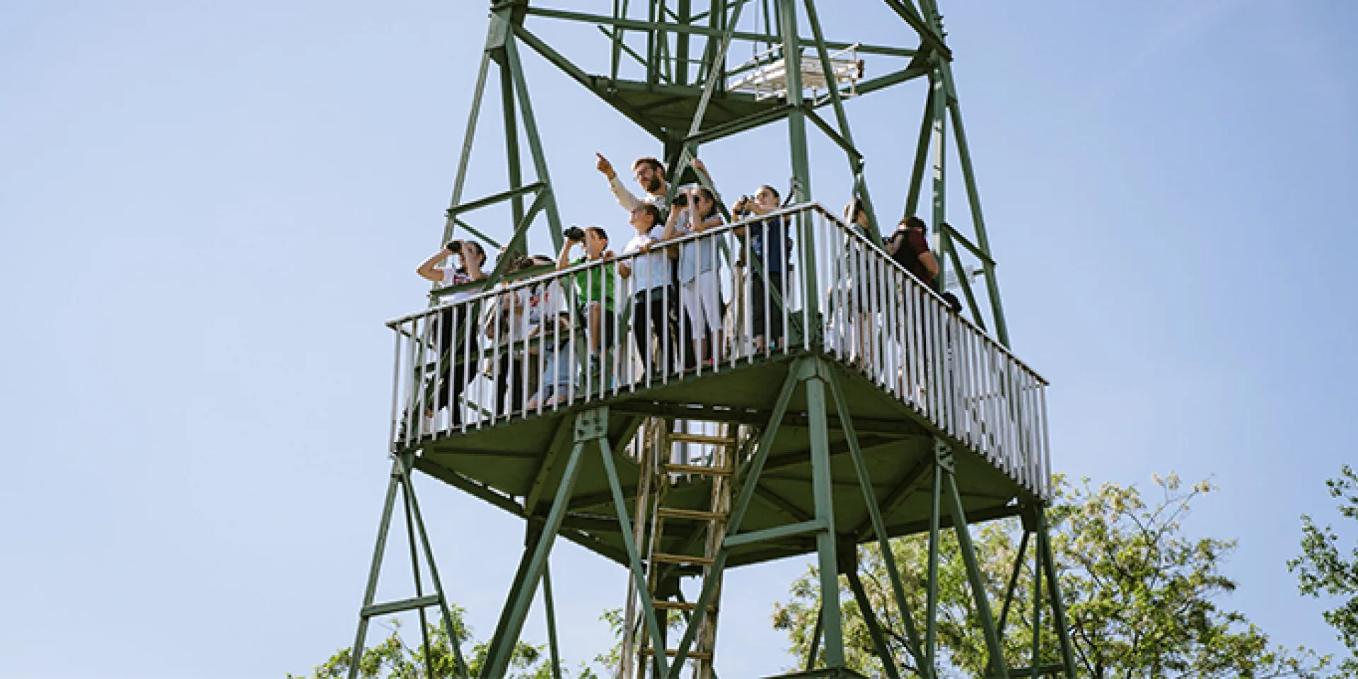 Aussichtsturm Sandeck