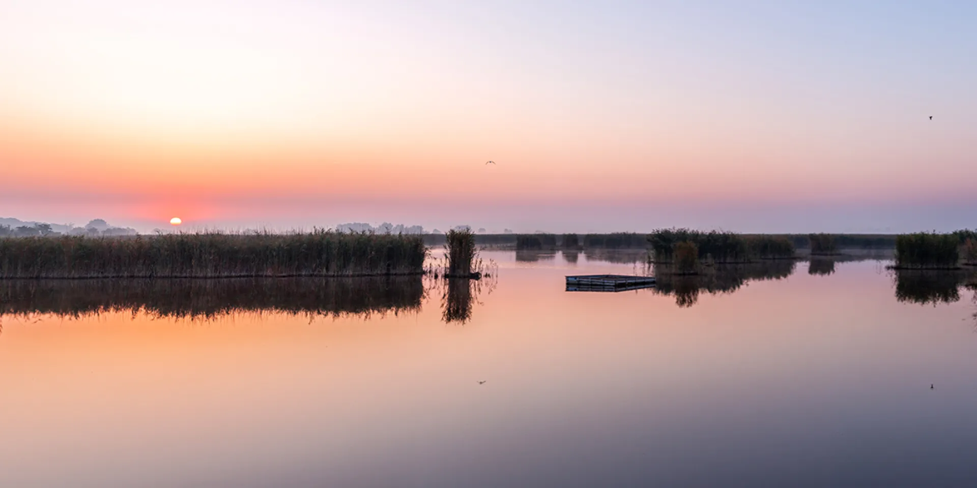 See mit Schilf bei Sonnenaufgang