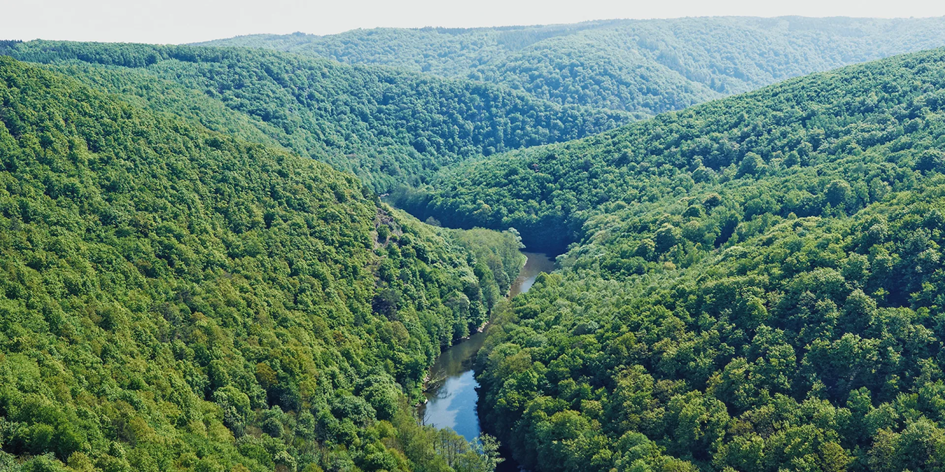 Nationalpark Thayatal