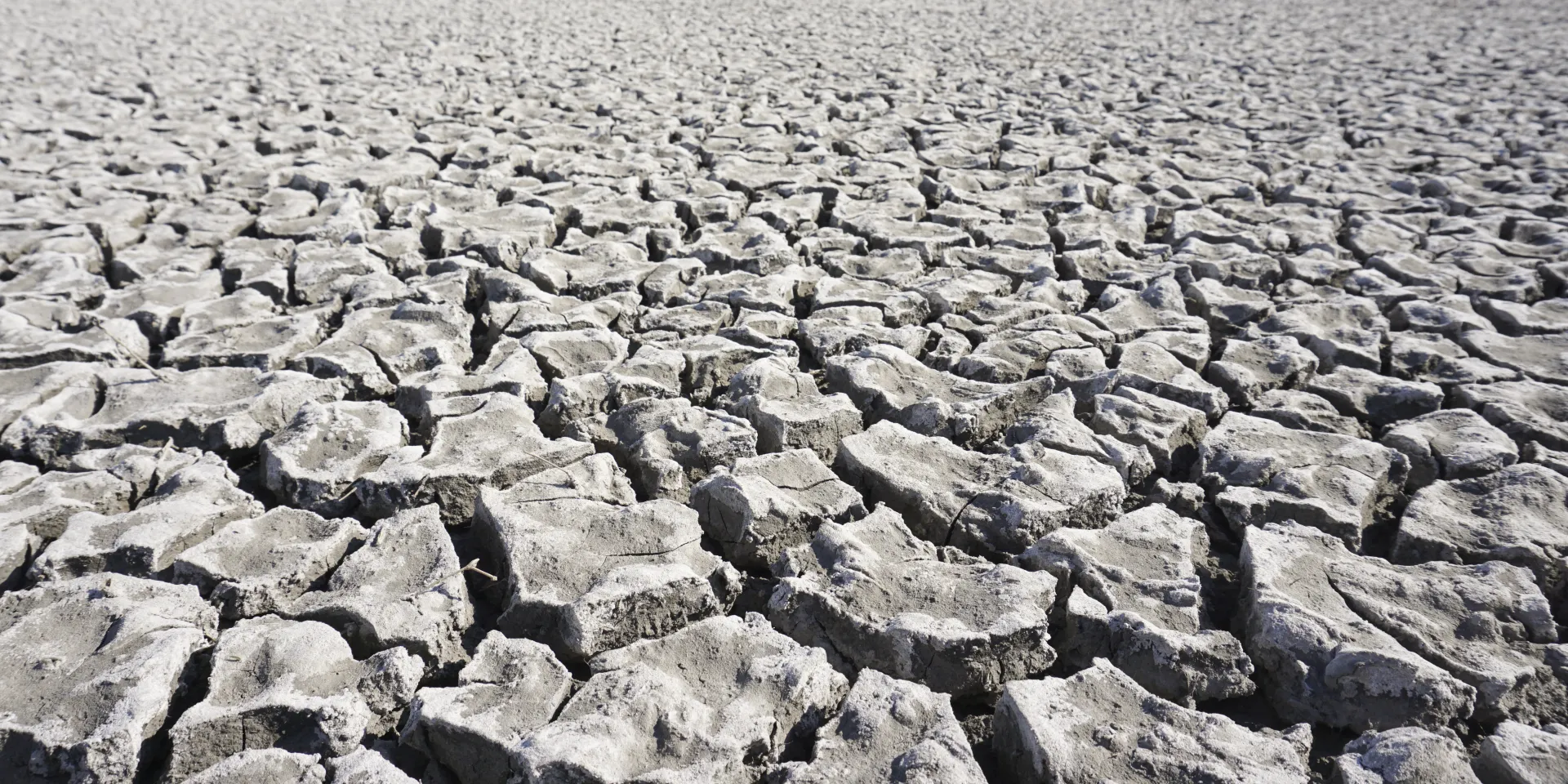Trockenrisse im Erdboden