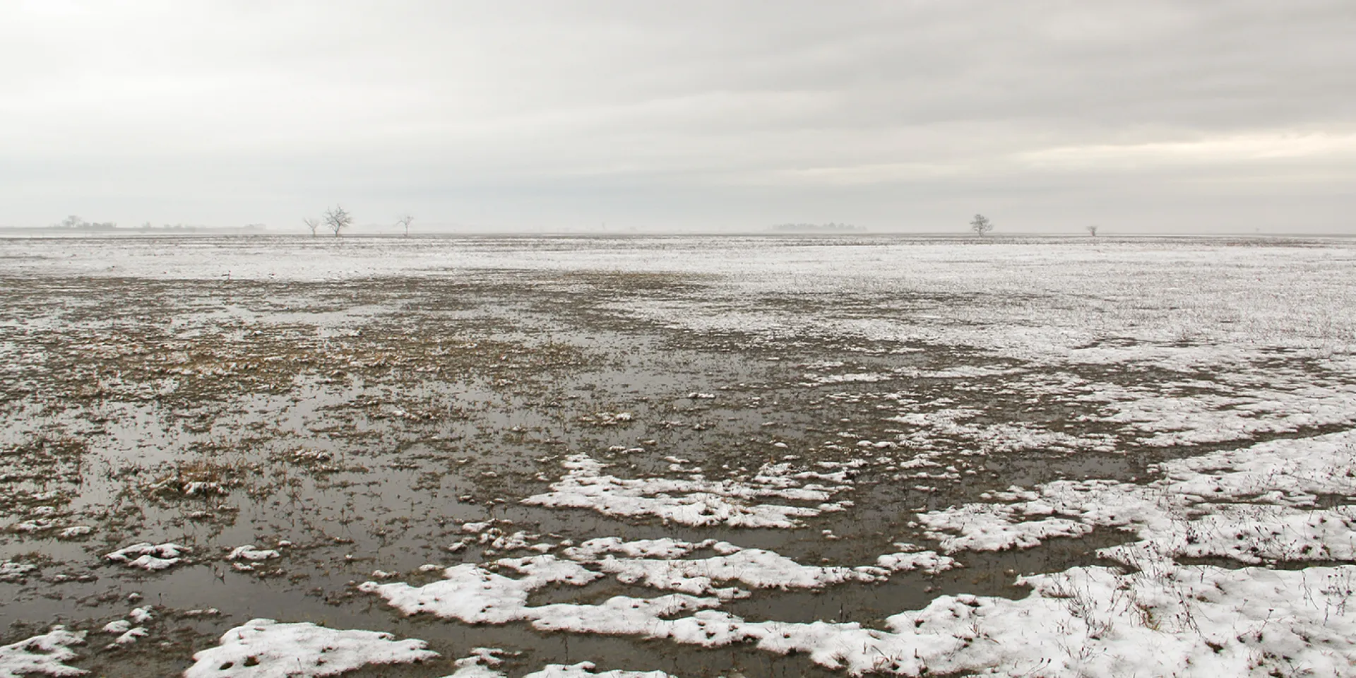 Schnee beim See