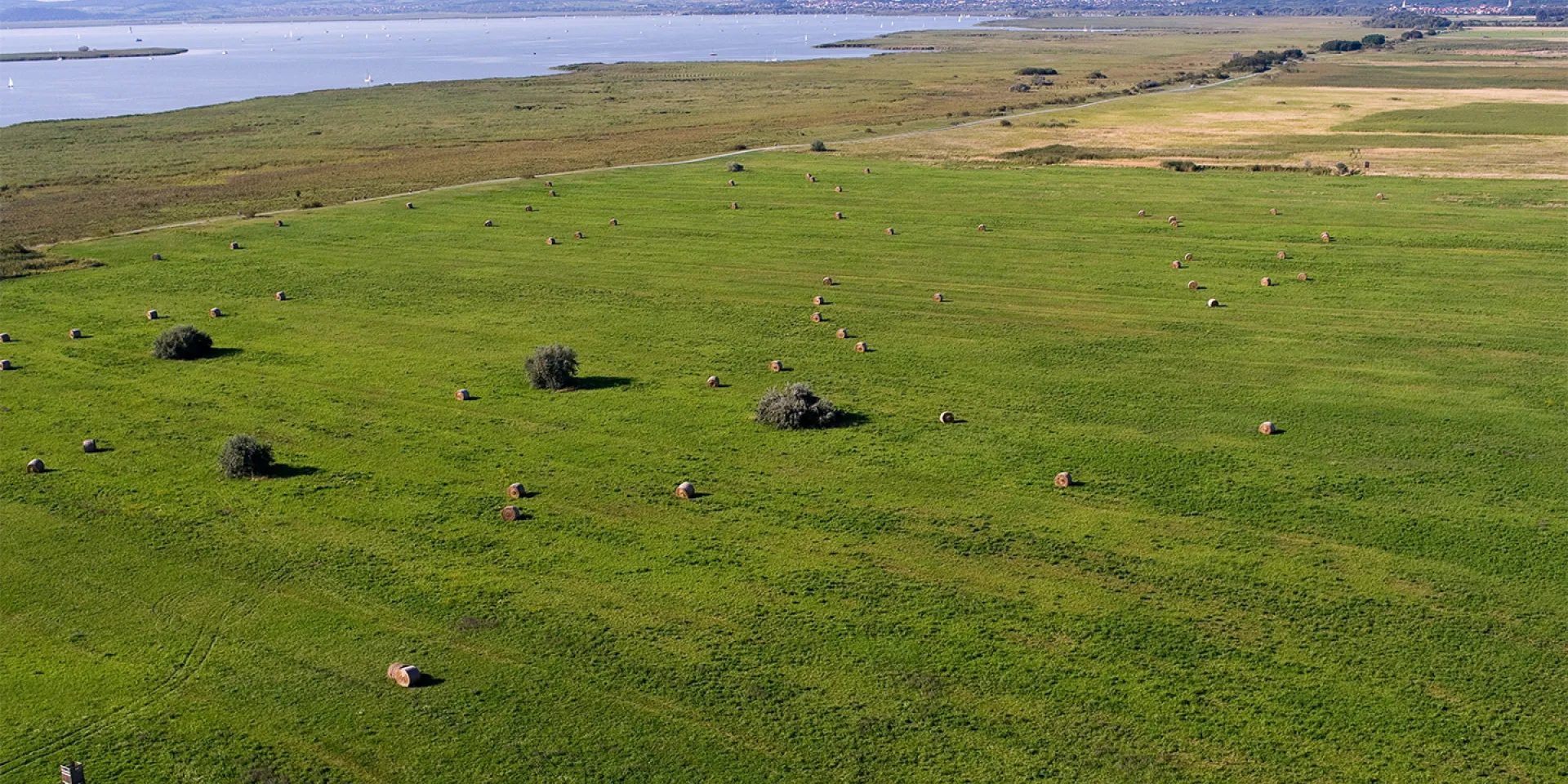 Vogelperspektive der Wiese