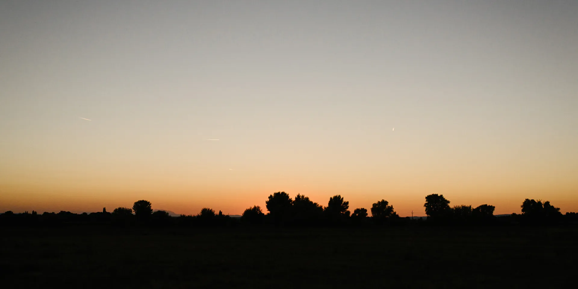 Abendliche Silhouetten der Bäume