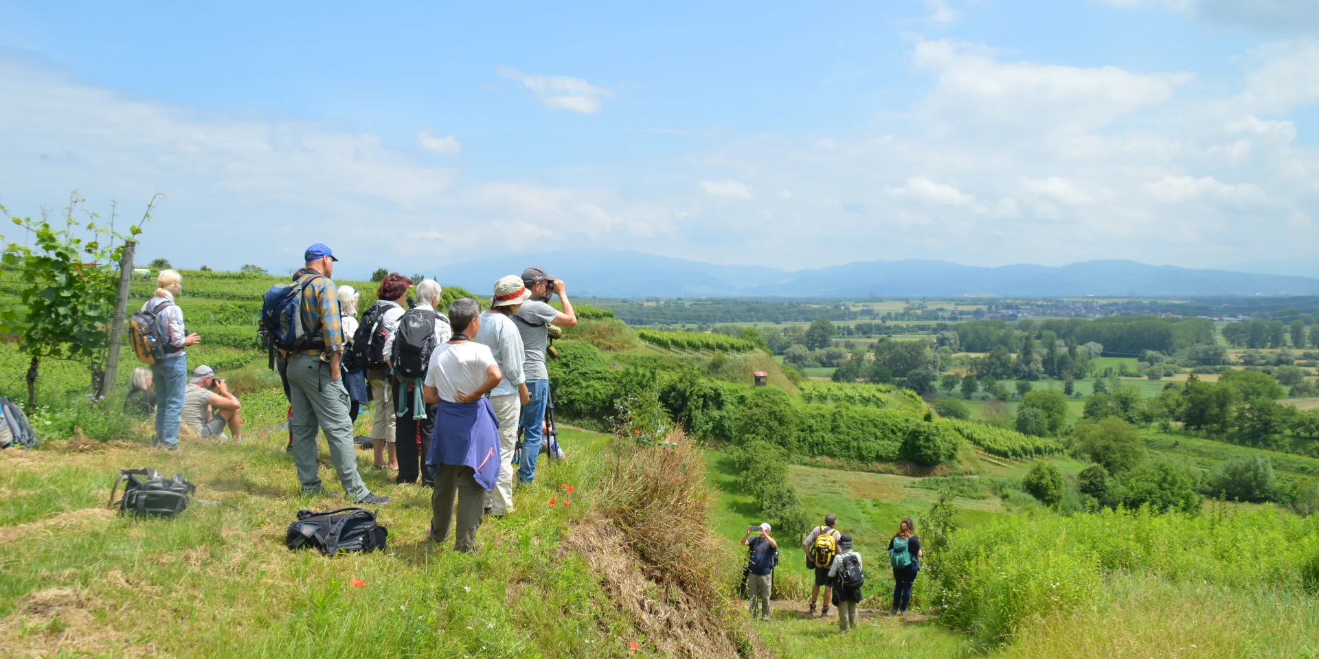 Beobachtergruppe Birdingtours