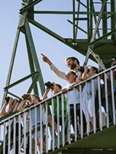Kinderexkursion am Aussichtsturm