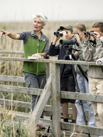 Ein Ranger zeigt Schülern etwas weit weg.