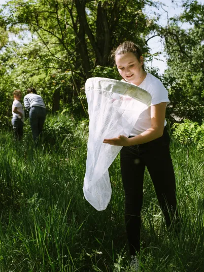 Kind mit einem großen Netz um Insekten zu fangen