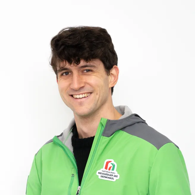 Porträt Dominic Sylvestre