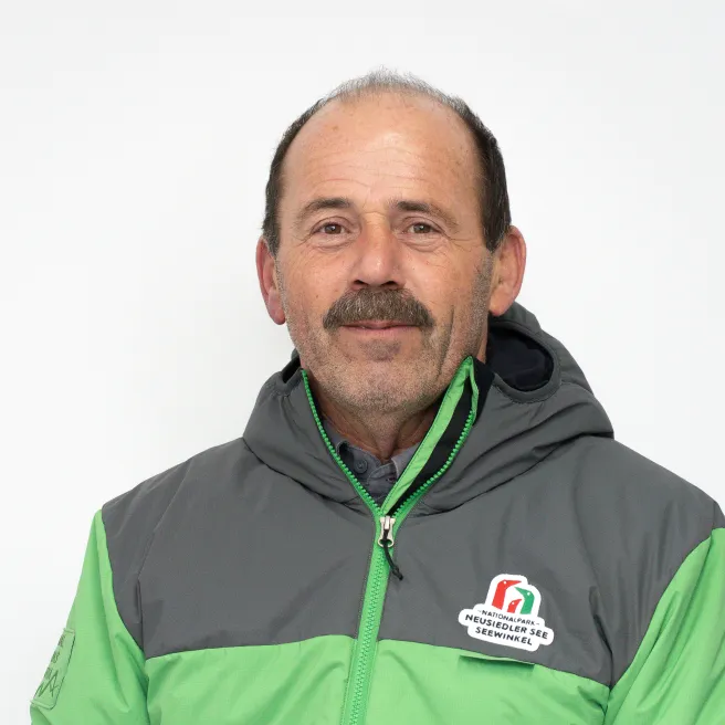 Porträt Hans Lehner