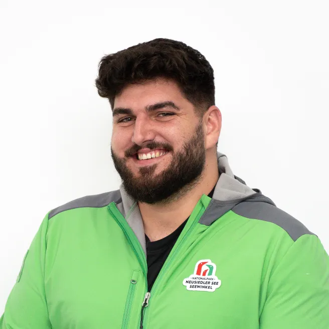 Porträt Stephan Scheidl