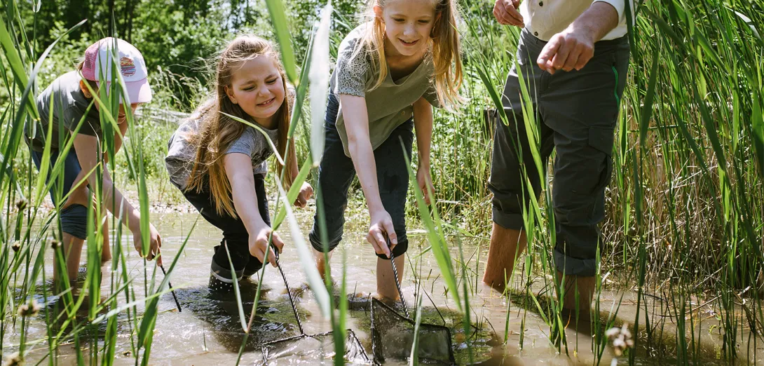 Kinder keschern im Wasser