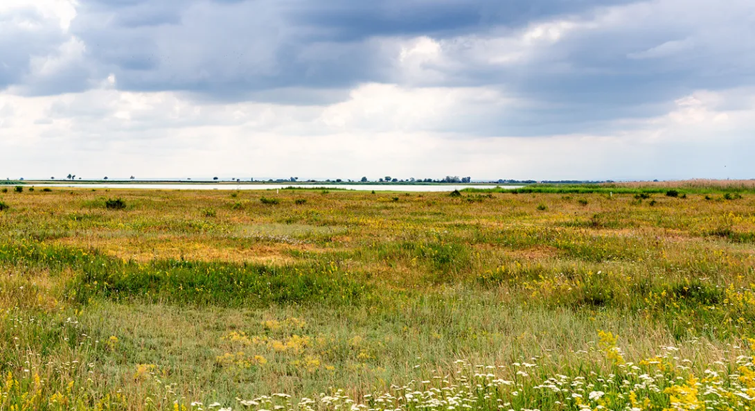 Steppe, kurze Gräser und im Hintergrund die Lange Lacke