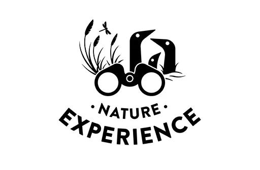 Nature Experience